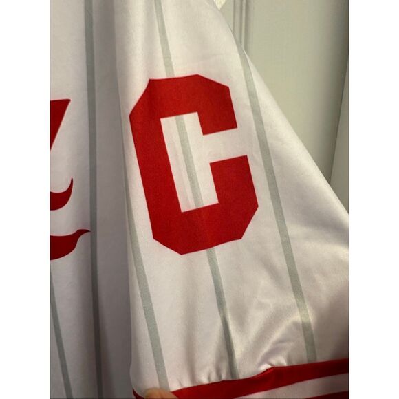 Pittsburgh Crawfords Jersey - Picture 6 of 6